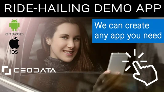 Demo Android iOS mobile app developed by CEODATA